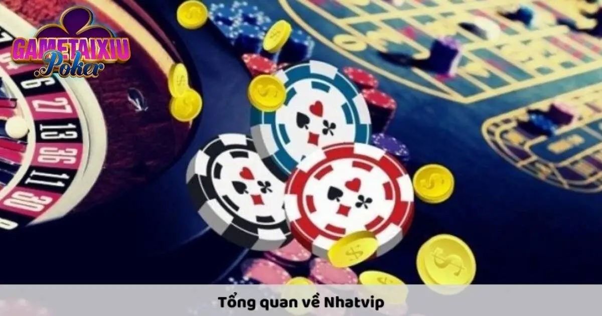 Giới thiệu chi tiết về Nhatvip