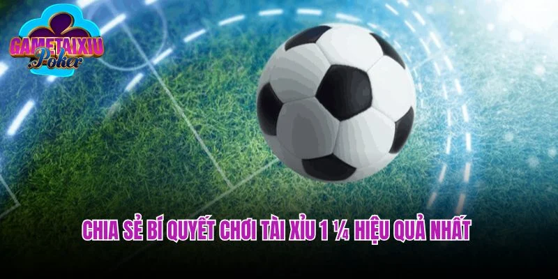 Chia sẻ bí quyết chơi tài xỉu 1 ¼ hiệu quả nhất 