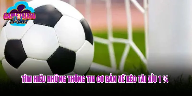 Tìm hiểu những thông tin cơ bản về kèo tài xỉu 1 ¼ 