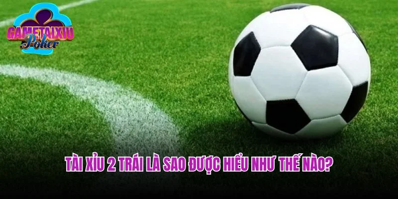 Tài xỉu 2 trái là sao được hiểu như thế nào?