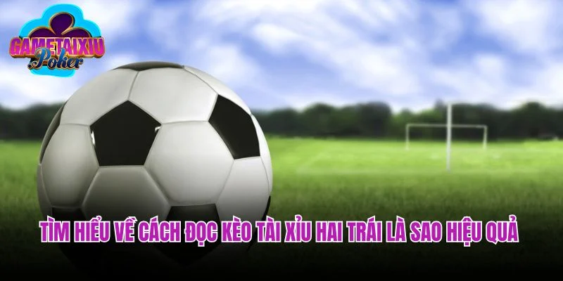 Tìm hiểu về cách đọc kèo tài xỉu hai trái là sao hiệu quả 