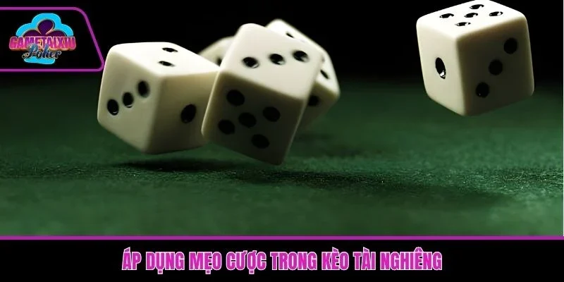 Áp dụng mẹo cược trong kèo tài nghiêng
